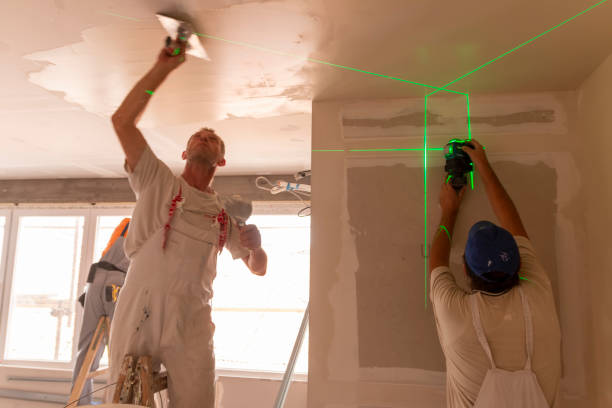 Best Drywall Sanding and Smoothing  in Rotan, TX