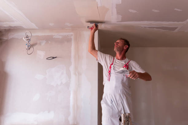 Best Drywall Removal and Disposal  in Rotan, TX